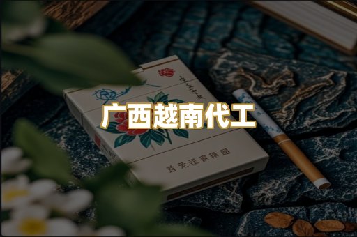 广西越南代工